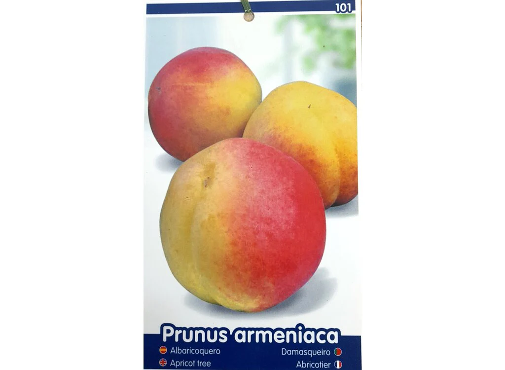 Imagen del producto 2