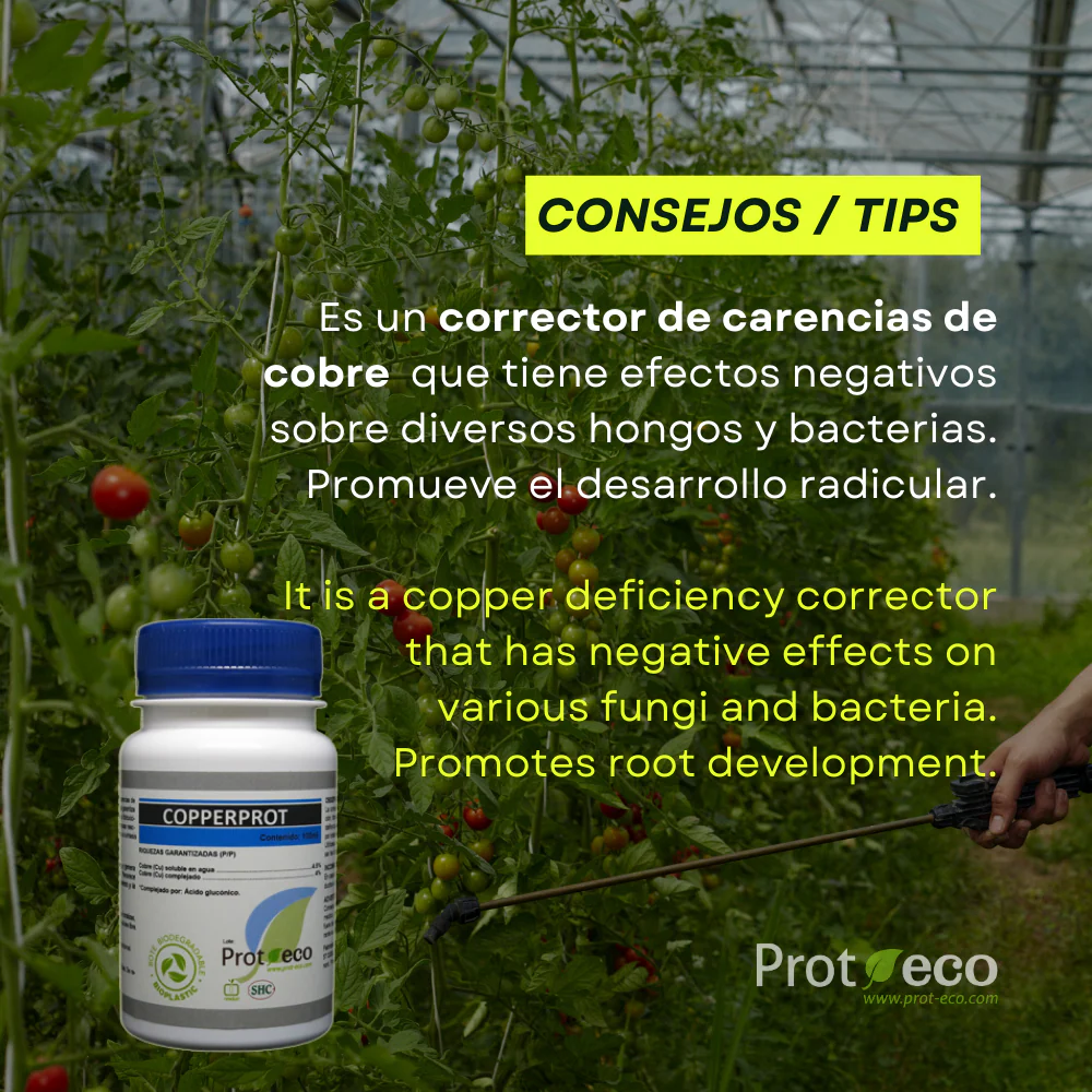 Imagen del producto 2