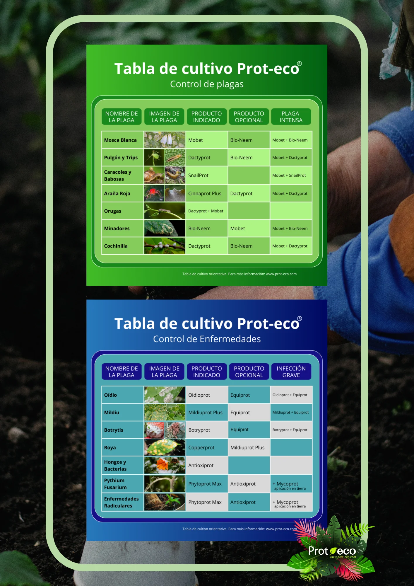 Imagen del producto 6