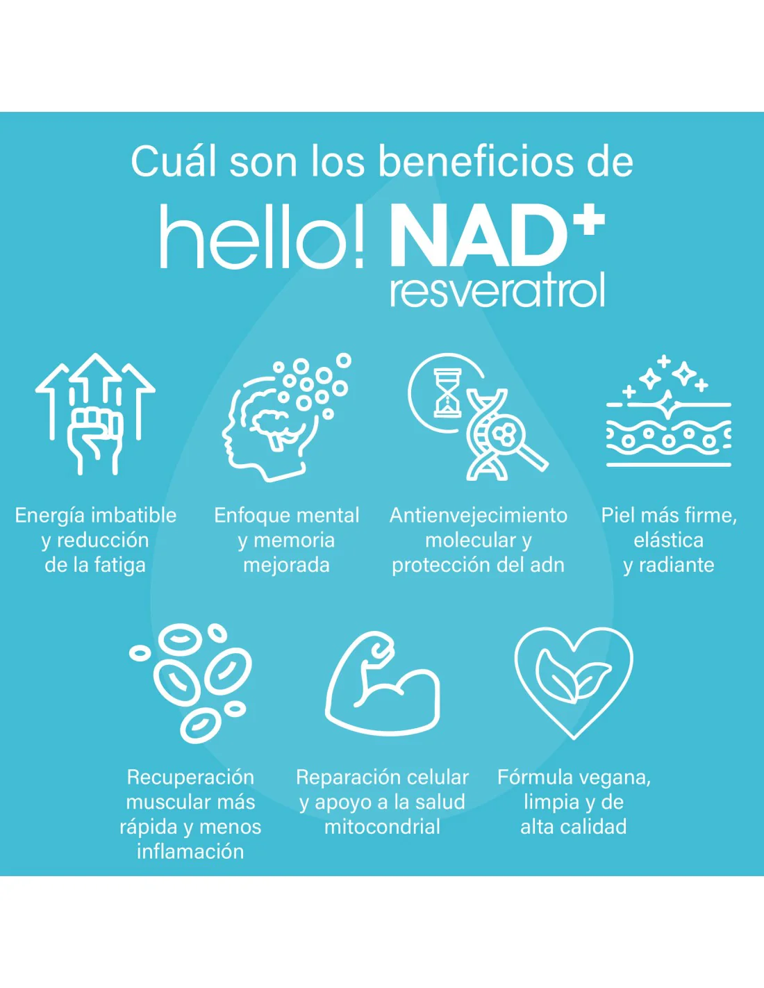 Imagen del producto 2
