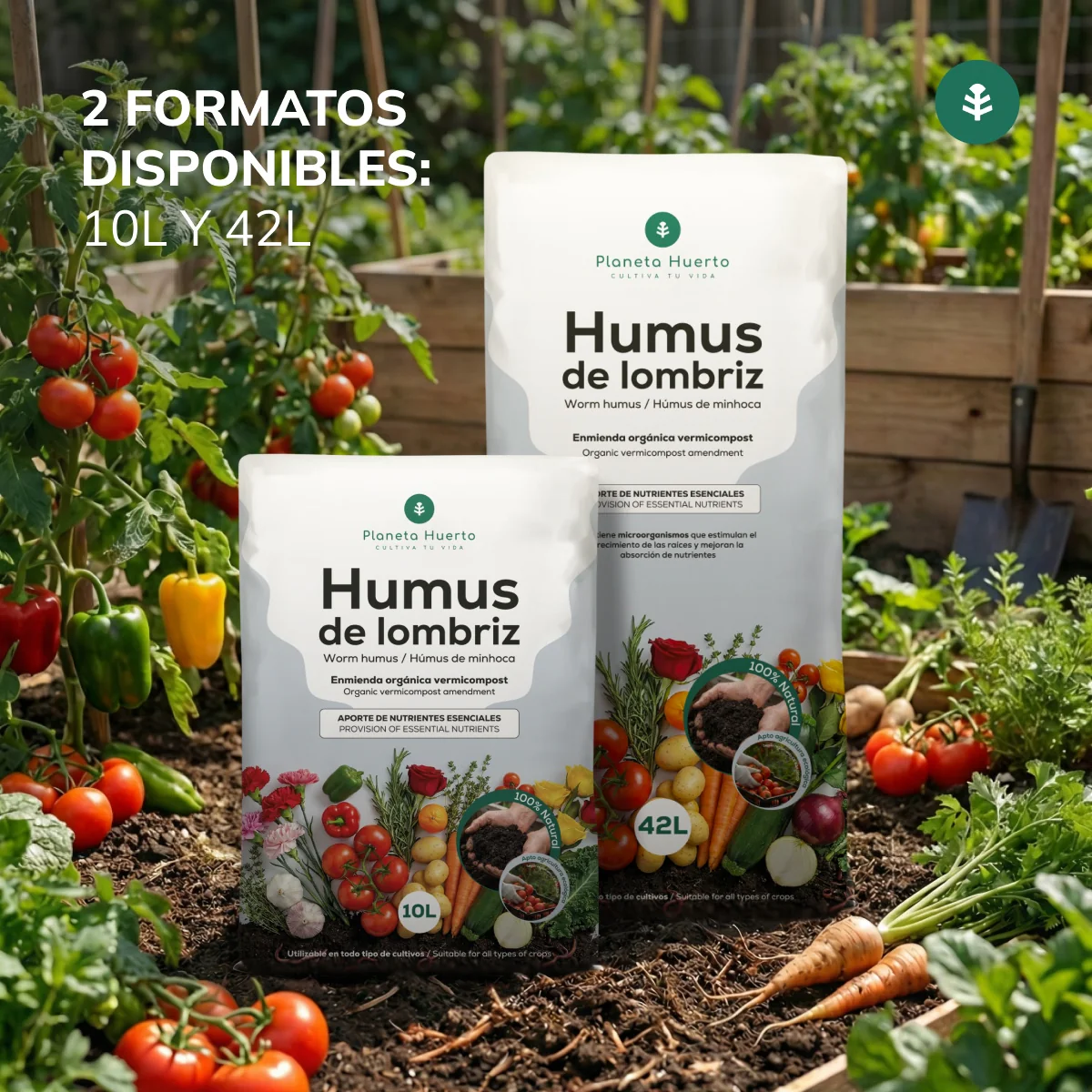 Imagen del producto 5