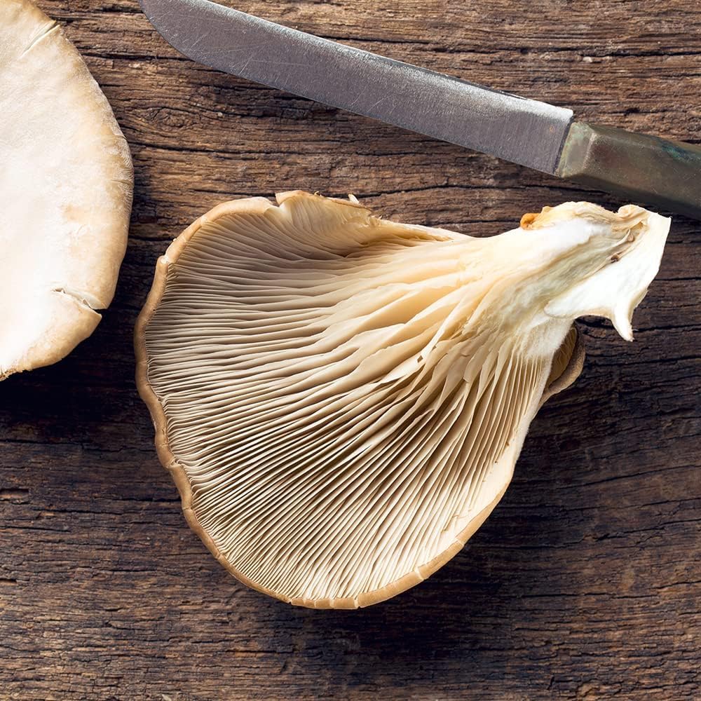 Imagen del producto 6