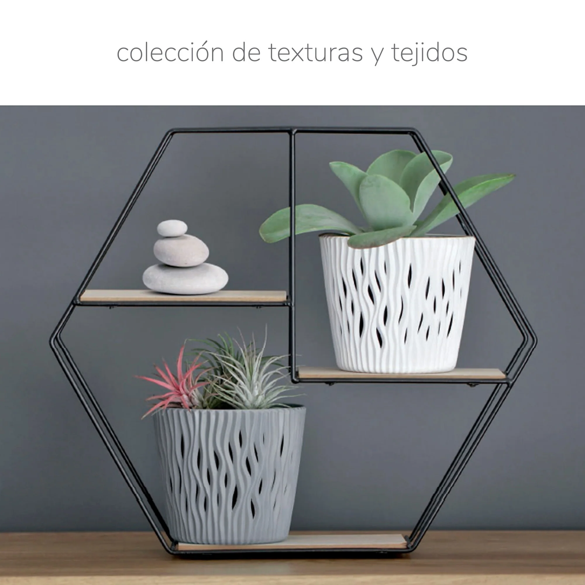 Imagen del producto 2