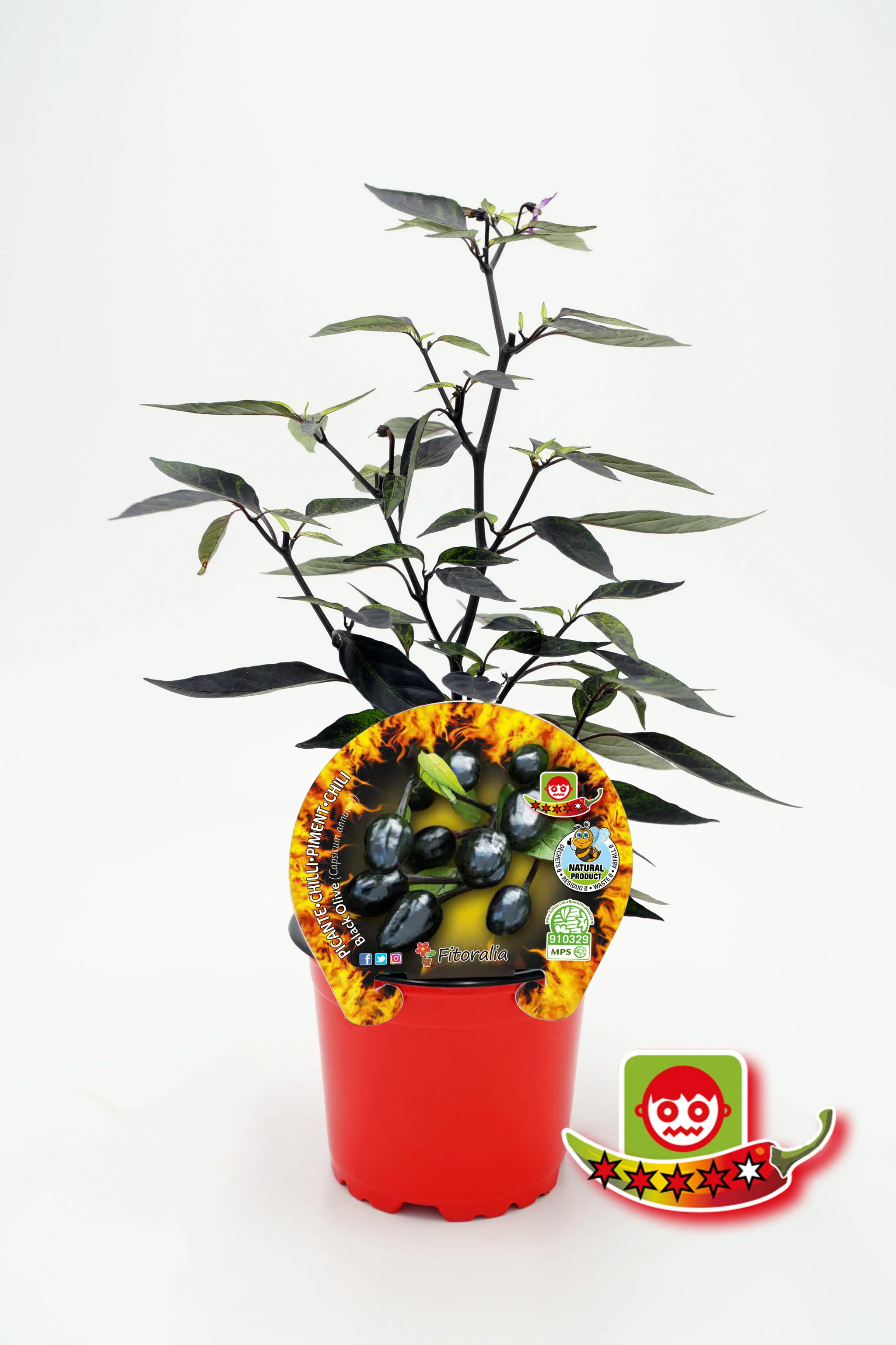 Imagen del producto 1