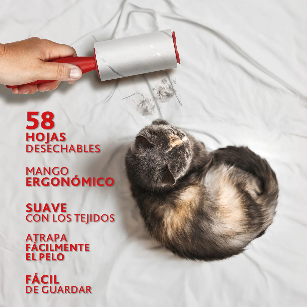 Imagen del producto 3